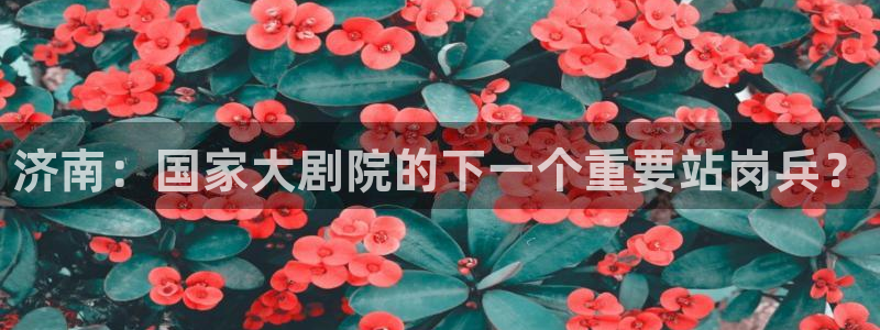 MK体育官网下载招商电话号码：济南：国家大剧院的下一