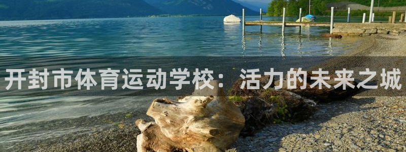 德国MK体育官方正版app集团：开封市体育运动学校：