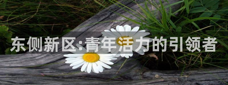 MK体育官网下载招商