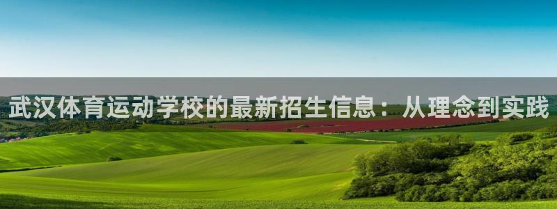 MK体育官网下载是干嘛的公司：武汉体育运动学校的最新
