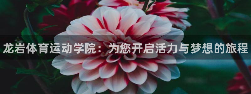 海南MK体育官网下载：龙岩体育运动学院：为您开启活力